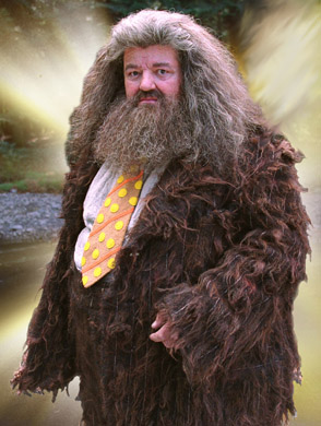 Hagrid